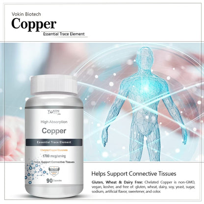 https://cdn.shopify.com/s/files/1/1857/6931/files/61K_Dv-qiBL.jpg?v=1770706243
