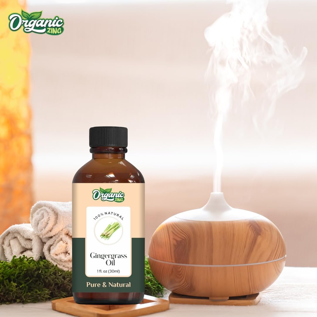 https://cdn.shopify.com/s/files/1/1857/6931/files/61Kiv20sbxL.jpg?v=1761823894