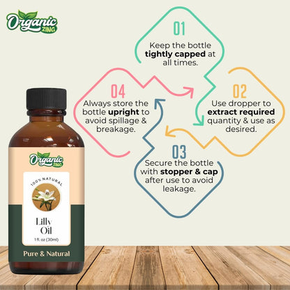 https://cdn.shopify.com/s/files/1/1857/6931/files/61LXZ5Cs9fL.jpg?v=1761823857