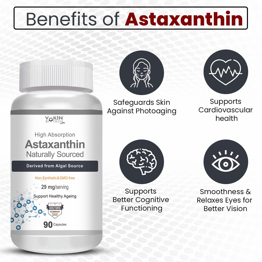 https://cdn.shopify.com/s/files/1/1857/6931/files/61M-I5aSWuL.jpg?v=1770706167