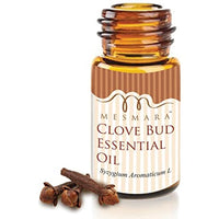 https://cdn.shopify.com/s/files/1/1857/6931/products/61M34GYdnvL._AC_SS450.jpg?v=1625042981