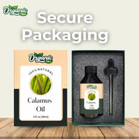 https://cdn.shopify.com/s/files/1/1857/6931/files/61MBPEPm7eL.jpg?v=1761823742