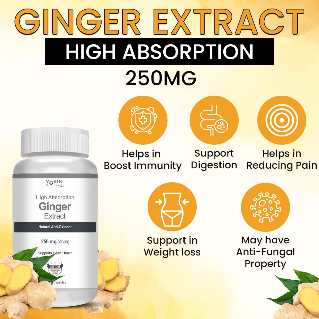 https://cdn.shopify.com/s/files/1/1857/6931/files/61N1yMTGU3L.jpg?v=1770706324