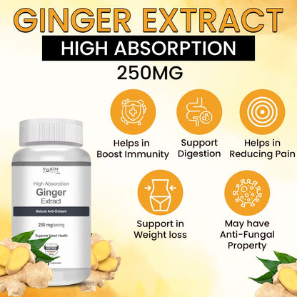 https://cdn.shopify.com/s/files/1/1857/6931/files/61N1yMTGU3L.jpg?v=1770706324