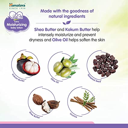 https://cdn.shopify.com/s/files/1/1857/6931/products/61OZNx1Nr0L._SX425.jpg?v=1661422734