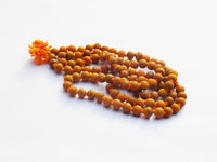https://cdn.shopify.com/s/files/1/1857/6931/products/61PXkTmWYFL._SL1024.jpg?v=1637842192