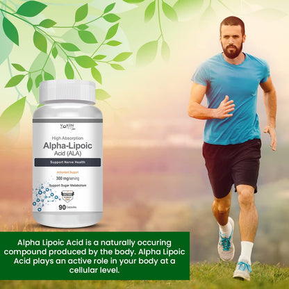 https://cdn.shopify.com/s/files/1/1857/6931/files/61R8RXAy4ZL.jpg?v=1770706158