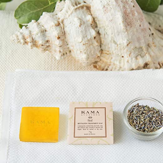 https://cdn.shopify.com/s/files/1/1857/6931/products/61RWNEDnGcL._SX522.jpg?v=1661250146