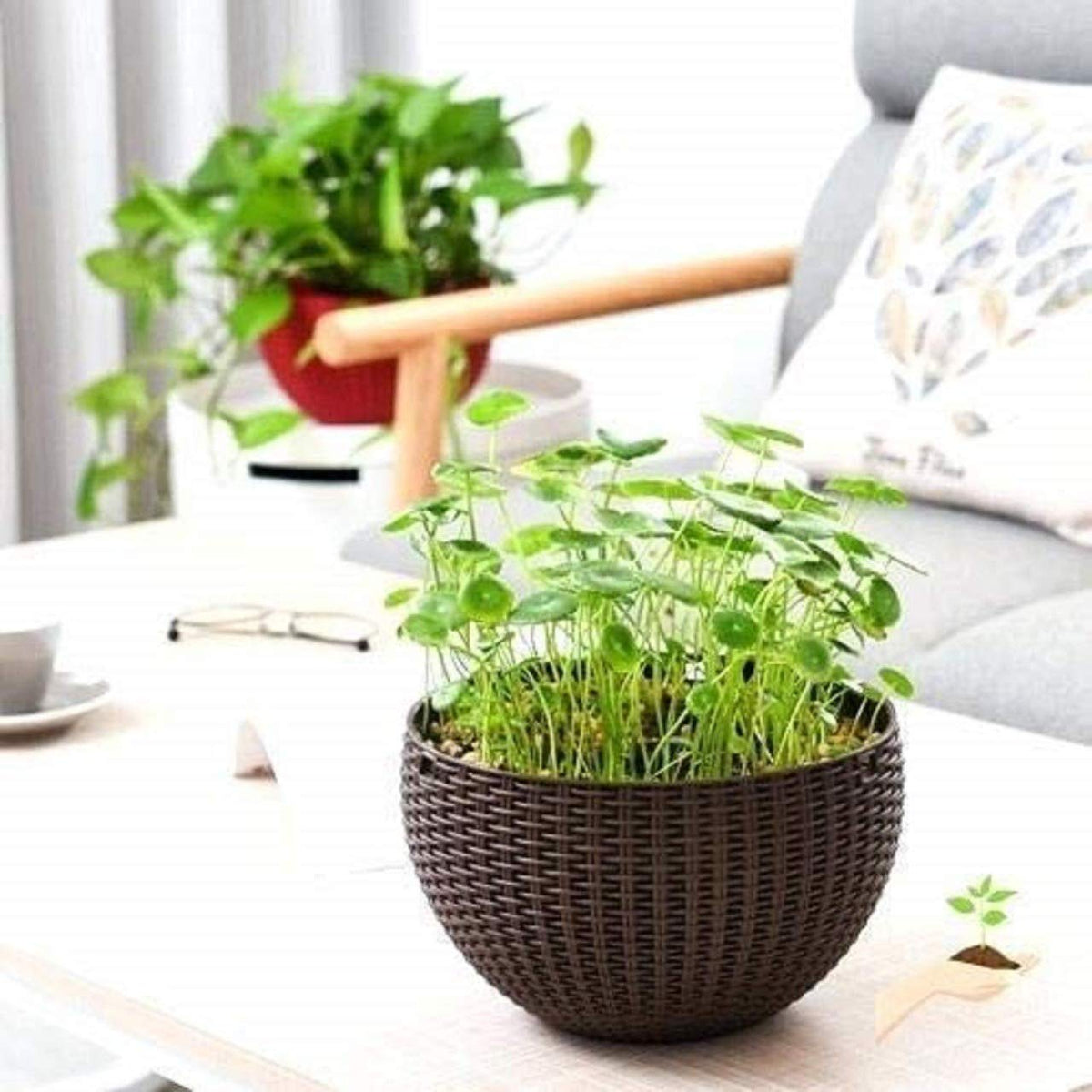 Image 3 of Go Hooked 7.1" Plastic Rattan Hanging Basket/Hanging Pots with Metal Hanging Chain/Hanging Planters- Set of 5 (Dark Brown) (Flowers Not Included)