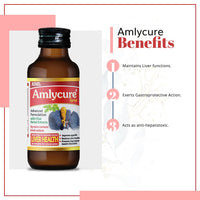 https://cdn.shopify.com/s/files/1/1857/6931/files/61T2VYr3P3S._SL1080.jpg?v=1697520317