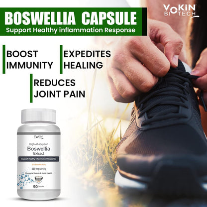 https://cdn.shopify.com/s/files/1/1857/6931/files/61TDuf7otqL.jpg?v=1770706198
