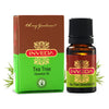 https://cdn.shopify.com/s/files/1/1857/6931/products/61UF6_CnjwS._SL1080.jpg?v=1637410537