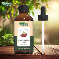 https://cdn.shopify.com/s/files/1/1857/6931/files/61UOTdQGSeL.jpg?v=1761823866