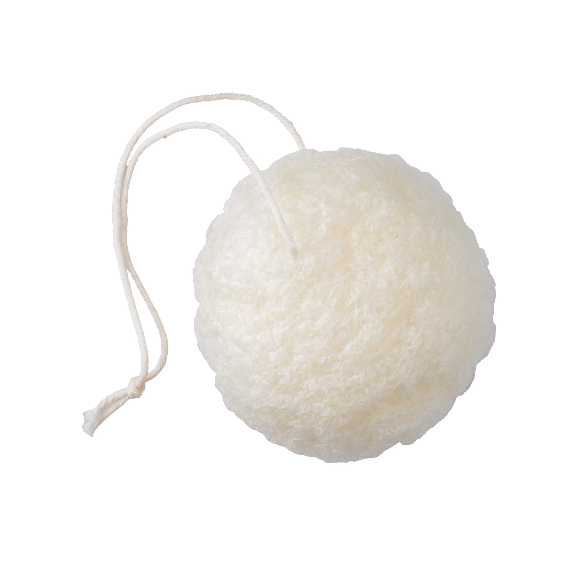 https://cdn.shopify.com/s/files/1/1857/6931/files/61VeW5J1vcL.jpg?v=1774951974