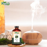 https://cdn.shopify.com/s/files/1/1857/6931/files/61XPrS7CzKL.jpg?v=1761823833