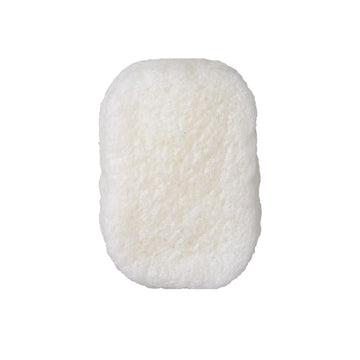 https://cdn.shopify.com/s/files/1/1857/6931/files/61Z32wclPZL.jpg?v=1774951959