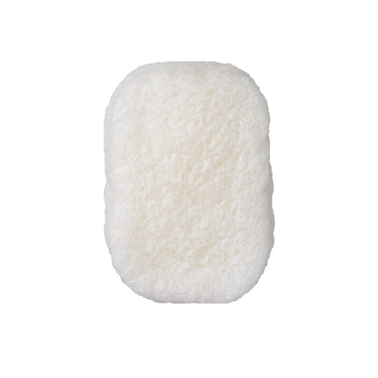 https://cdn.shopify.com/s/files/1/1857/6931/files/61Z32wclPZL.jpg?v=1774951959
