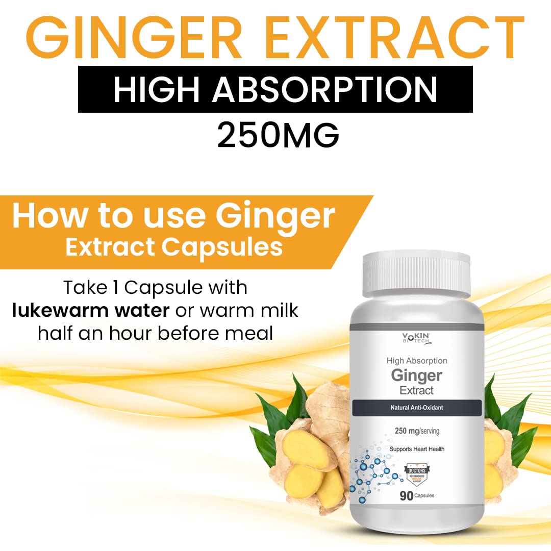 https://cdn.shopify.com/s/files/1/1857/6931/files/61ZdmDJWHcL.jpg?v=1770706324