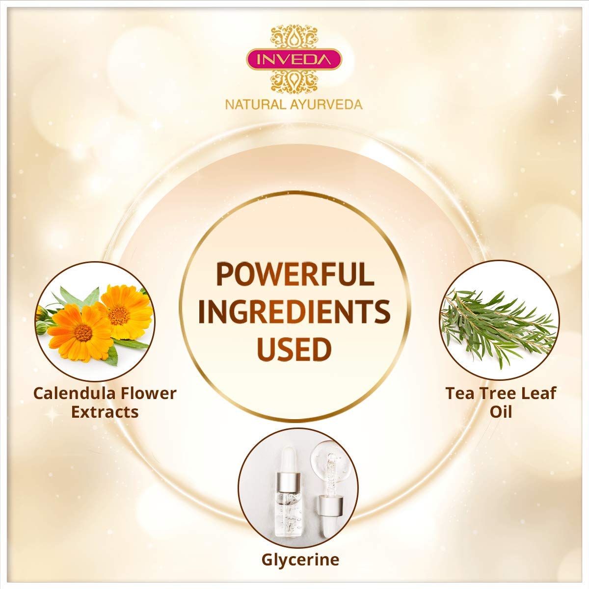https://cdn.shopify.com/s/files/1/1857/6931/products/61a6nsfrqKL._SL1200.jpg?v=1637412152