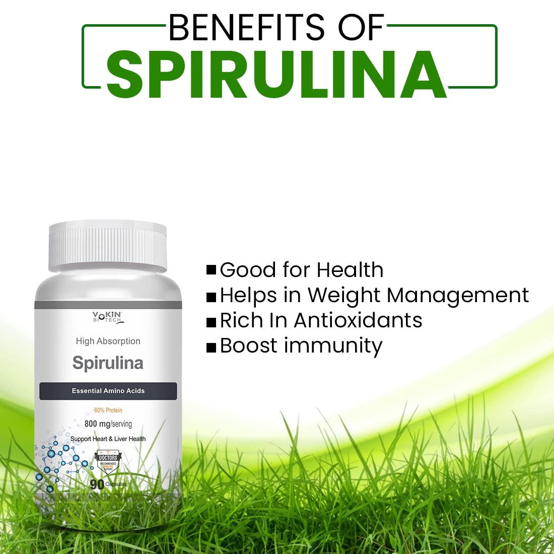 https://cdn.shopify.com/s/files/1/1857/6931/files/61cfRYUB9kL.jpg?v=1770707010