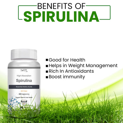 https://cdn.shopify.com/s/files/1/1857/6931/files/61cfRYUB9kL.jpg?v=1770707010