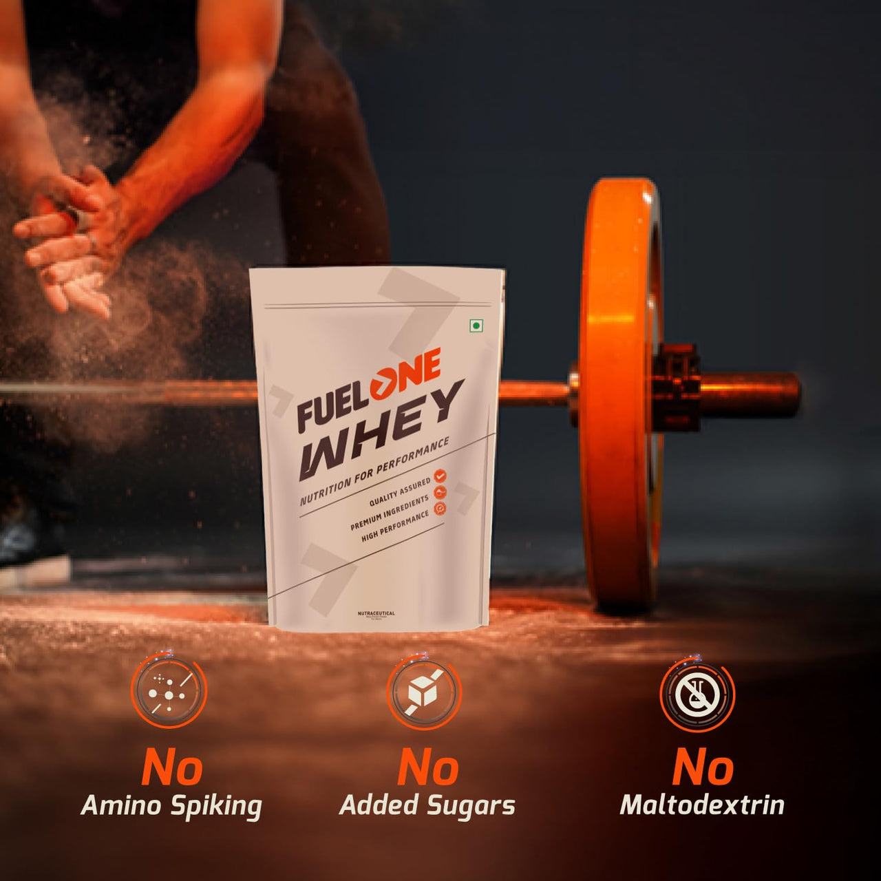 https://cdn.shopify.com/s/files/1/1857/6931/files/61cmz-YmG3L.jpg?v=1768365945