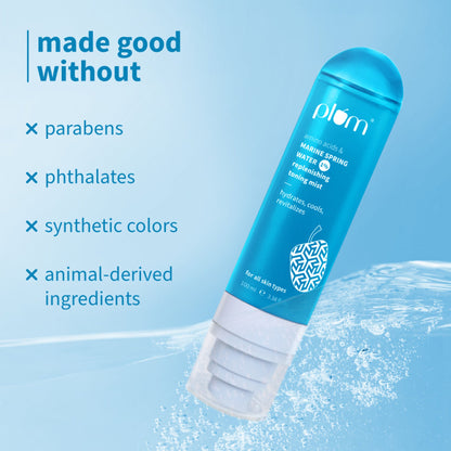 https://cdn.shopify.com/s/files/1/1857/6931/files/61d1656PLUMX00001191_6s.jpg?v=1767620066