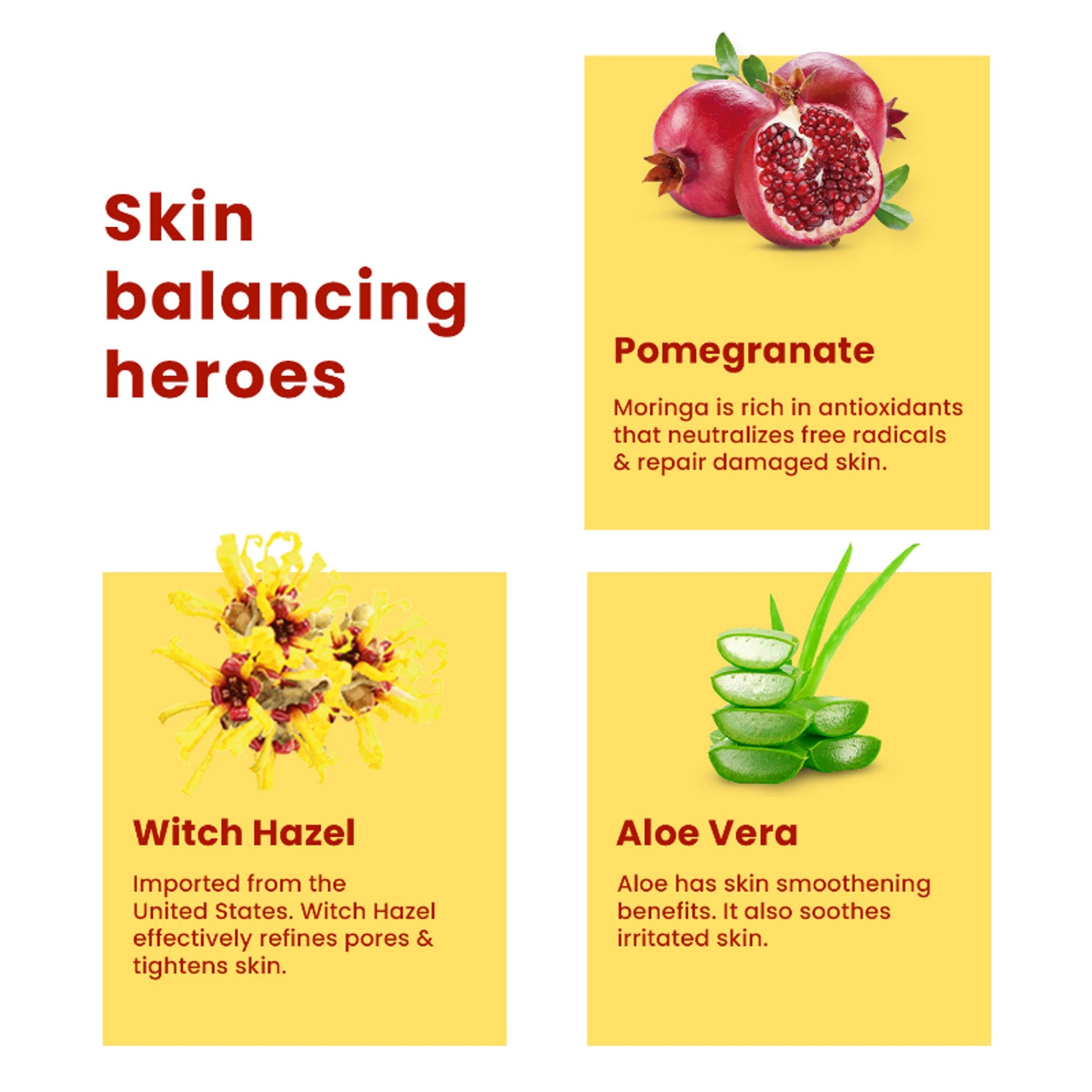 https://cdn.shopify.com/s/files/1/1857/6931/files/61d1656THEAH00000008_4s.jpg?v=1776859029