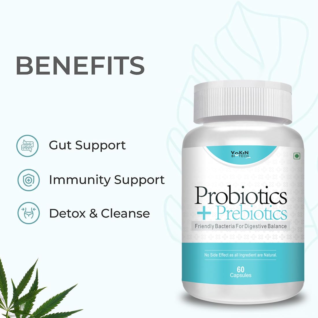 https://cdn.shopify.com/s/files/1/1857/6931/files/61fbMml72BL.jpg?v=1770706950