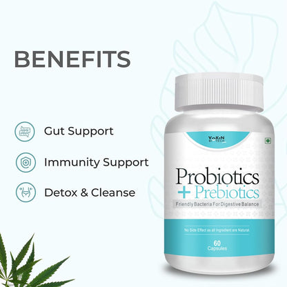 https://cdn.shopify.com/s/files/1/1857/6931/files/61fbMml72BL.jpg?v=1770706950