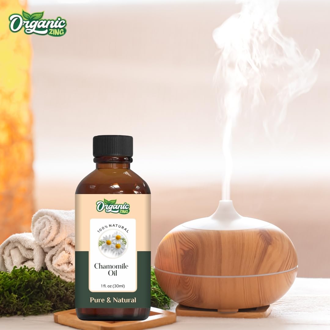 https://cdn.shopify.com/s/files/1/1857/6931/files/61hbWE0WGlL.jpg?v=1761823751