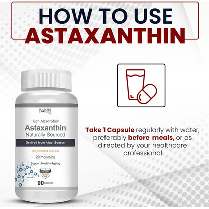 https://cdn.shopify.com/s/files/1/1857/6931/files/61igN-FxyEL.jpg?v=1770706167