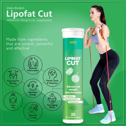 https://cdn.shopify.com/s/files/1/1857/6931/files/61ivf1jQC2L.jpg?v=1770706710