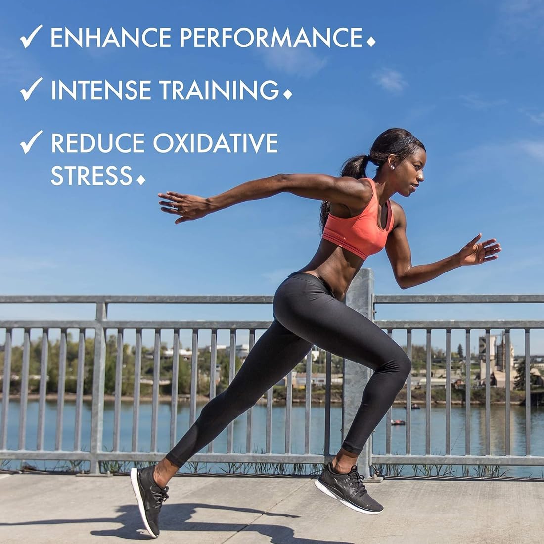 https://cdn.shopify.com/s/files/1/1857/6931/files/61jem2IisxL.jpg?v=1770707037