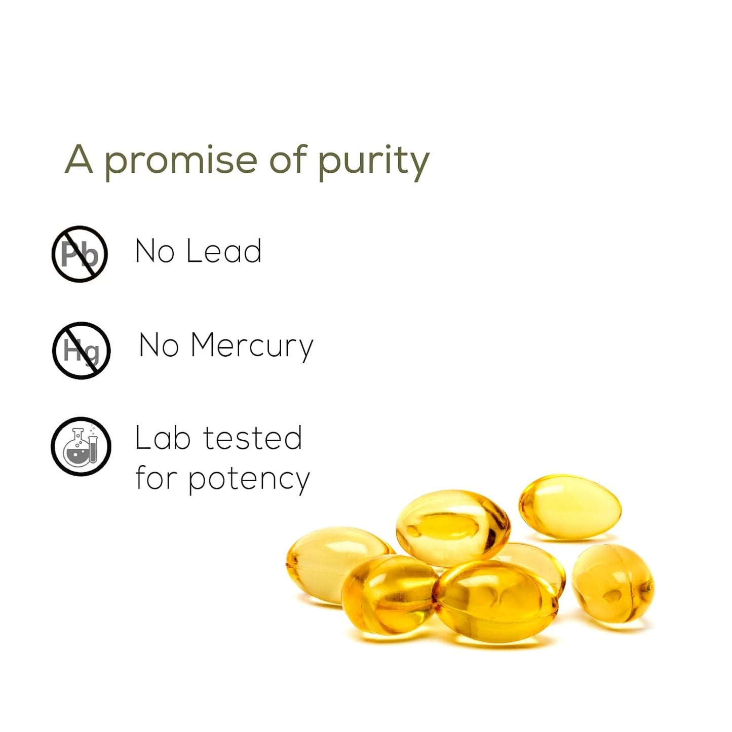 https://cdn.shopify.com/s/files/1/1857/6931/files/61lZh3JP5FL._SL1500.jpg?v=1741067124