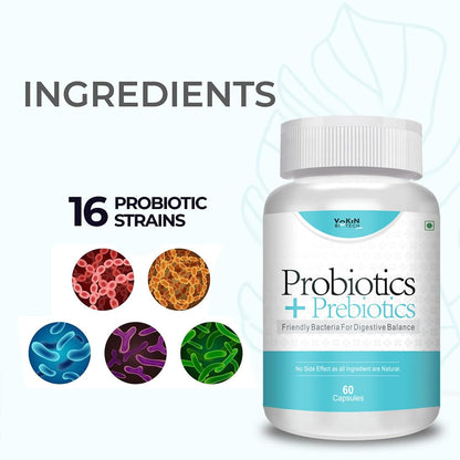https://cdn.shopify.com/s/files/1/1857/6931/files/61mQcMLw_gL.jpg?v=1770706950