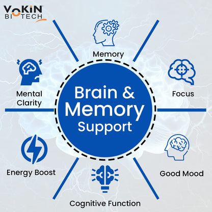 https://cdn.shopify.com/s/files/1/1857/6931/files/61n6Z04rSKL.jpg?v=1770706255