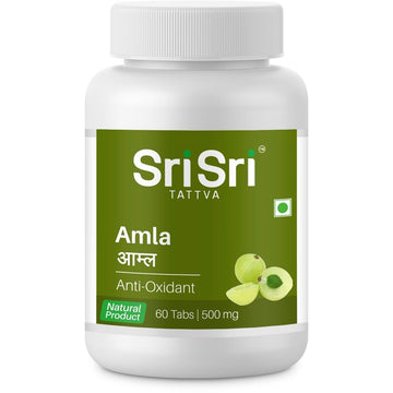 https://cdn.shopify.com/s/files/1/1857/6931/products/61nNGHOnPrL._SL1204.jpg?v=1620804970
