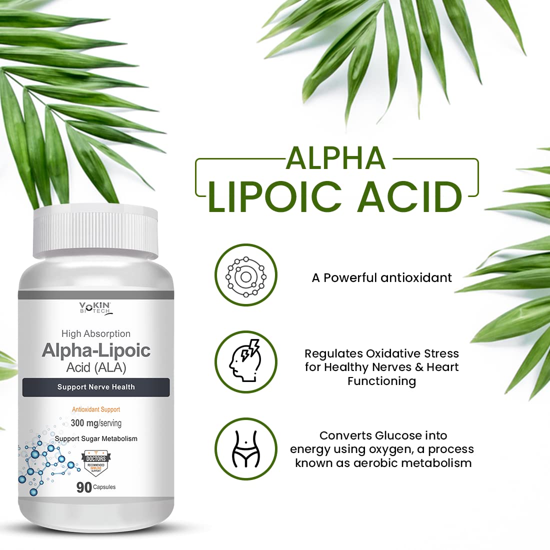 https://cdn.shopify.com/s/files/1/1857/6931/files/61pjga6wG6L.jpg?v=1770706158