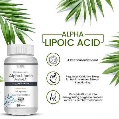 https://cdn.shopify.com/s/files/1/1857/6931/files/61pjga6wG6L.jpg?v=1770706158