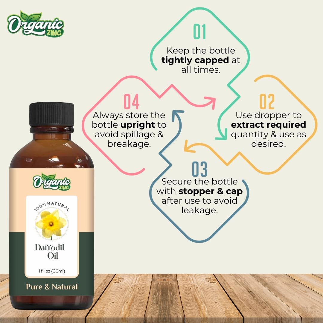 https://cdn.shopify.com/s/files/1/1857/6931/files/61qok_sC4PL.jpg?v=1761823725