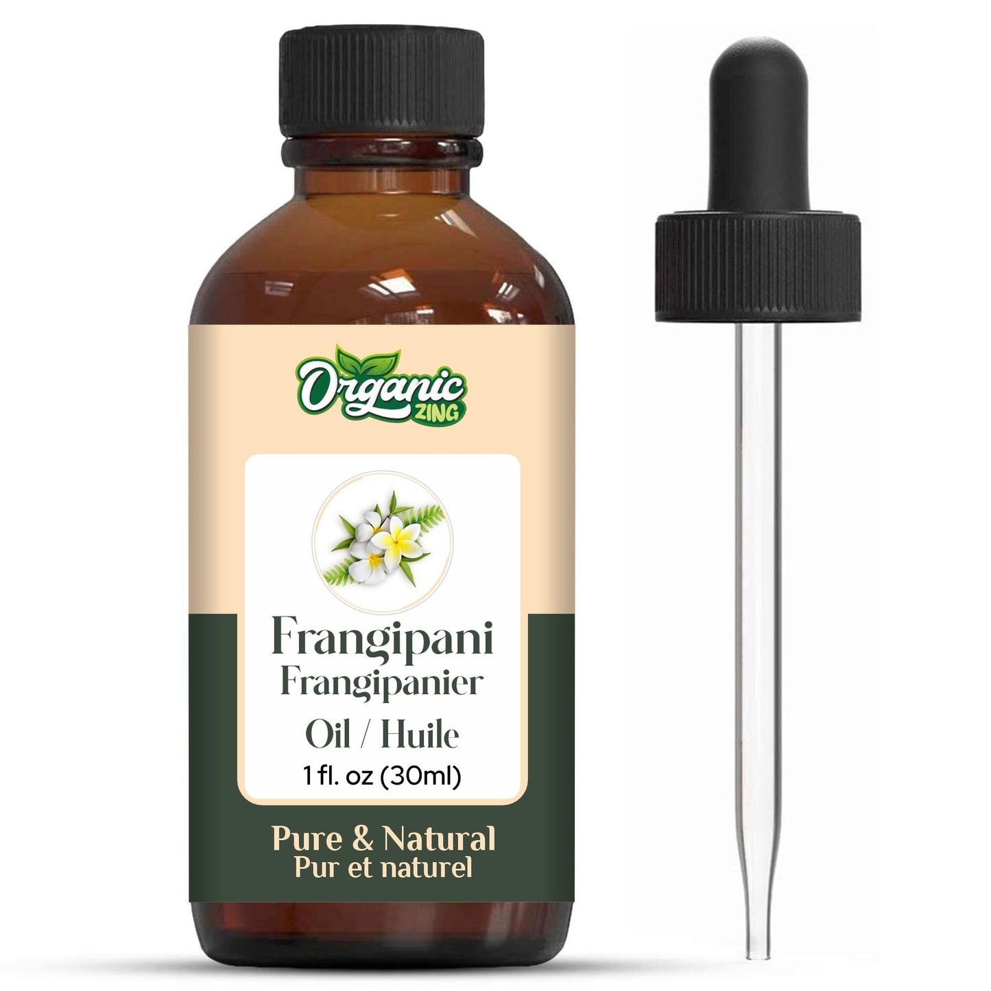 https://cdn.shopify.com/s/files/1/1857/6931/files/61ryDBdUJLL.jpg?v=1761823870