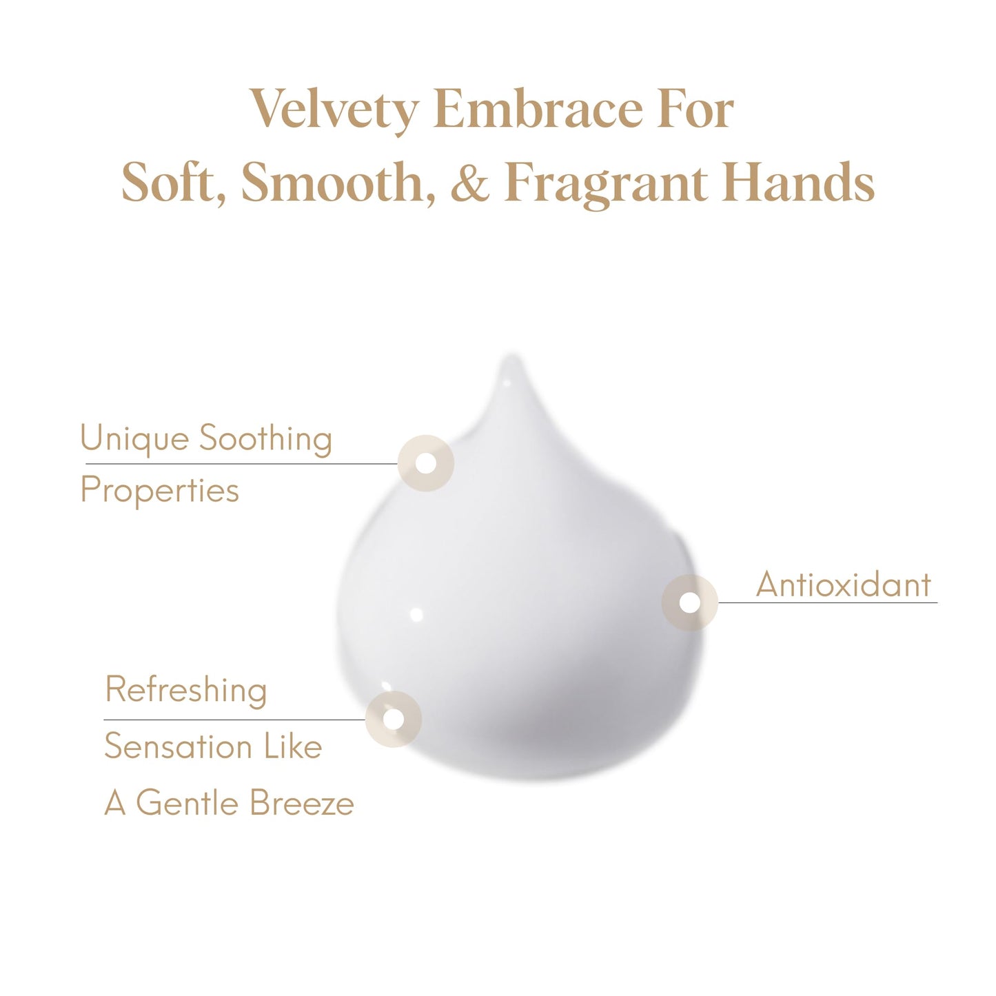 https://cdn.shopify.com/s/files/1/1857/6931/files/61t57EUeqyL.jpg?v=1774951982