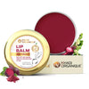 Image 1 of 5 gm for the product Khadi Organique Herbal Beetroot Lip Balm for Dry & Chapped Lips