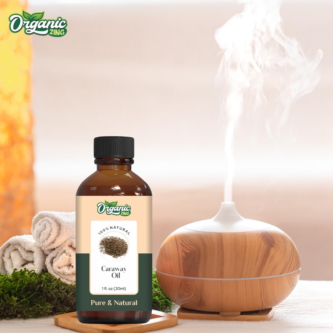 https://cdn.shopify.com/s/files/1/1857/6931/files/61wWmPGId2L.jpg?v=1761823875