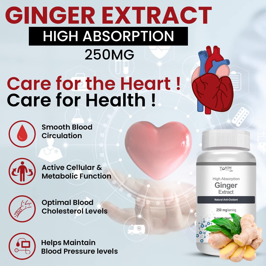 https://cdn.shopify.com/s/files/1/1857/6931/files/61wgom1Zf7L.jpg?v=1770706323