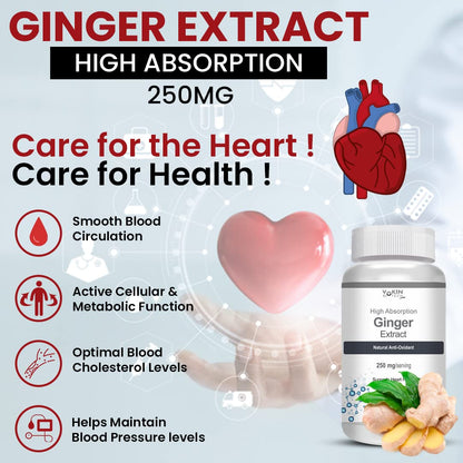 https://cdn.shopify.com/s/files/1/1857/6931/files/61wgom1Zf7L.jpg?v=1770706323