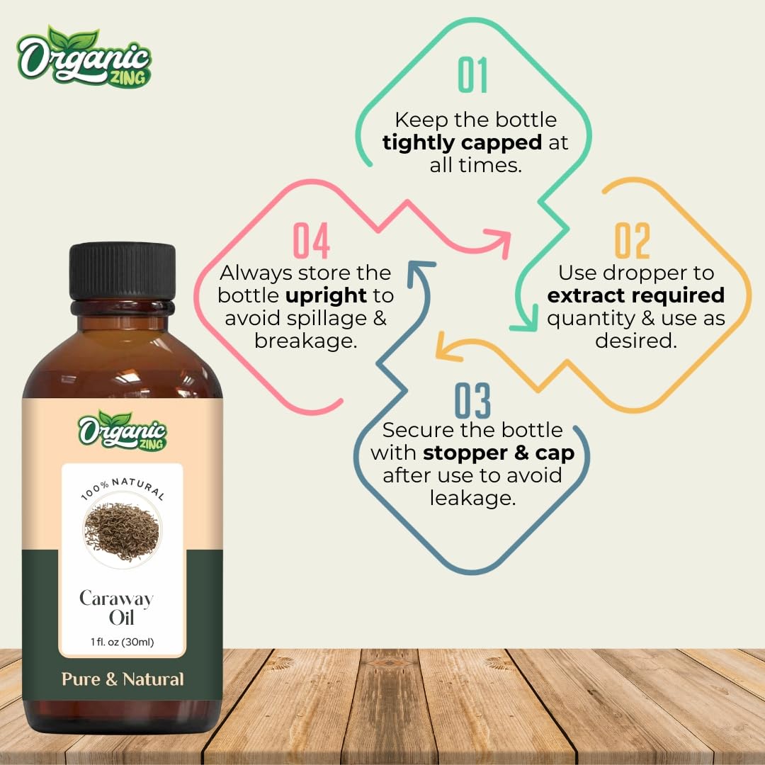 https://cdn.shopify.com/s/files/1/1857/6931/files/61xh-YzbkbL.jpg?v=1761823875