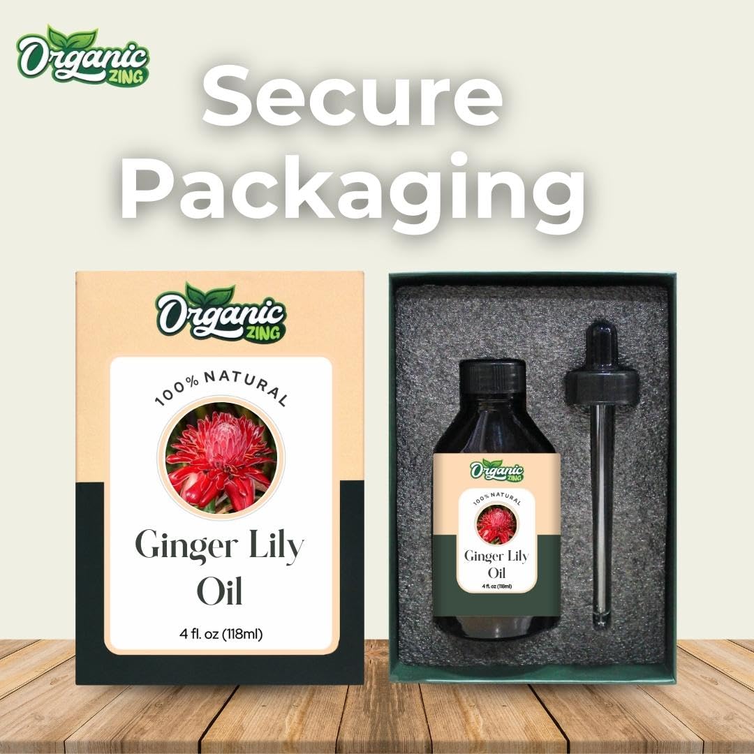 https://cdn.shopify.com/s/files/1/1857/6931/files/61z0Nq_E8jL.jpg?v=1761823759