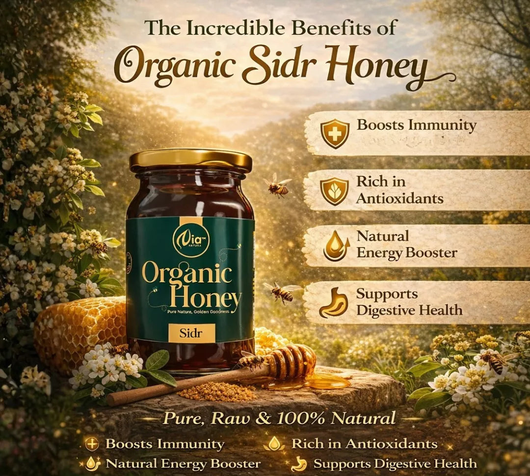 https://cdn.shopify.com/s/files/1/1857/6931/files/62-69b25a612d8e8.webp?v=1778507029